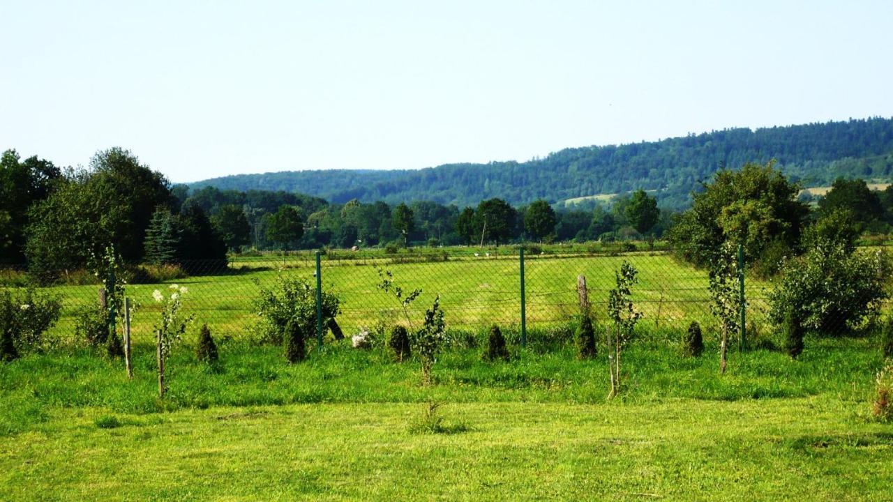 Villa Domki Caloroczne Bieszczady Panasiewiczowka Odrzechowa Exterior foto