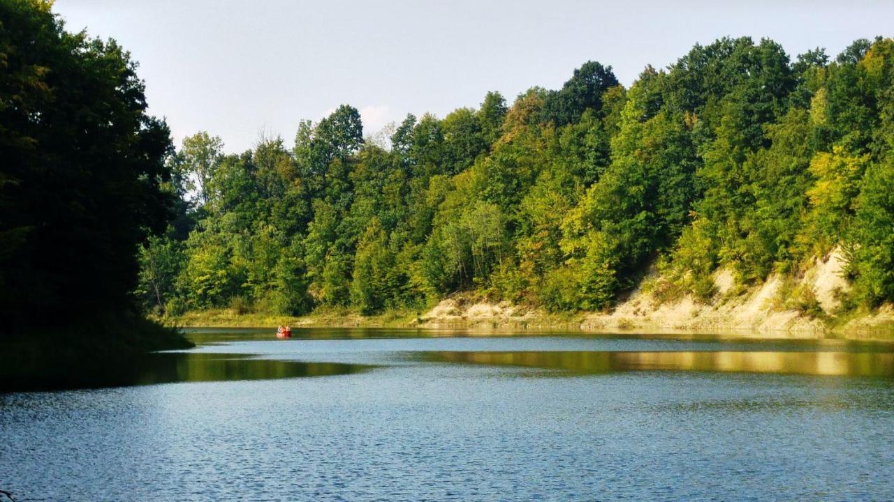 Villa Domki Caloroczne Bieszczady Panasiewiczowka Odrzechowa Exterior foto