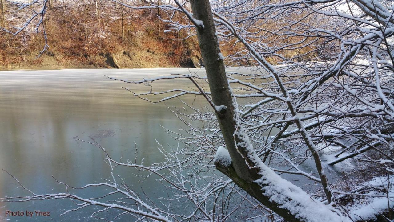 Villa Domki Caloroczne Bieszczady Panasiewiczowka Odrzechowa Exterior foto