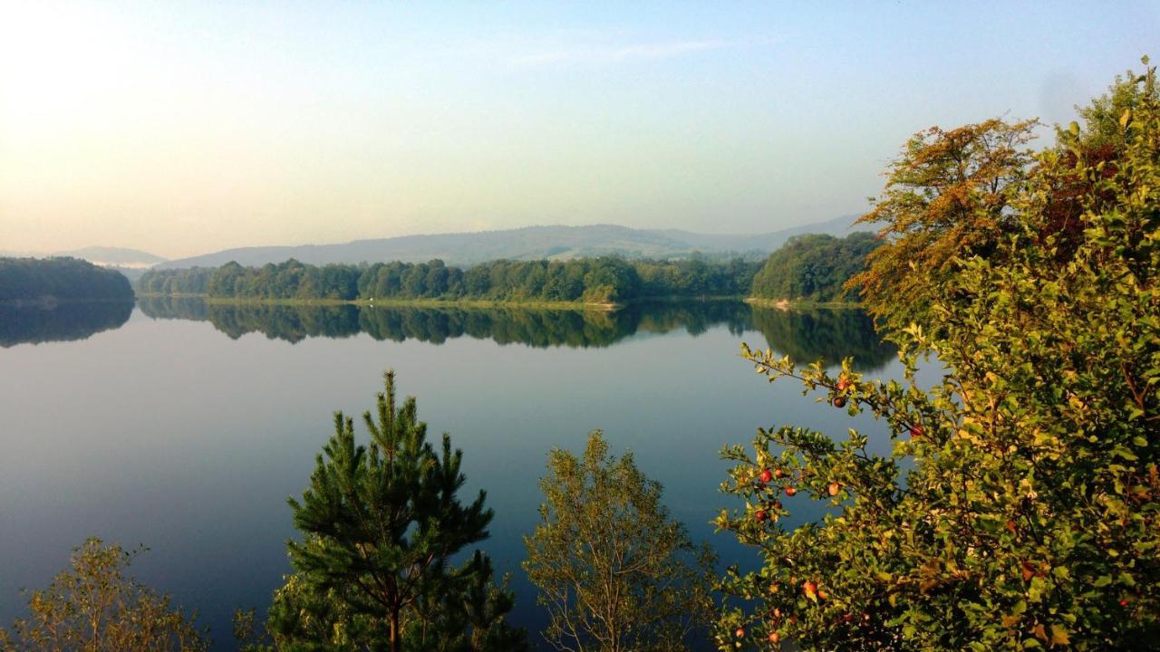 Villa Domki Caloroczne Bieszczady Panasiewiczowka Odrzechowa Exterior foto