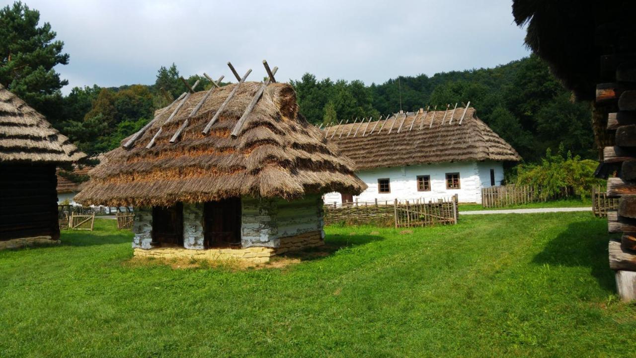 Villa Domki Caloroczne Bieszczady Panasiewiczowka Odrzechowa Exterior foto