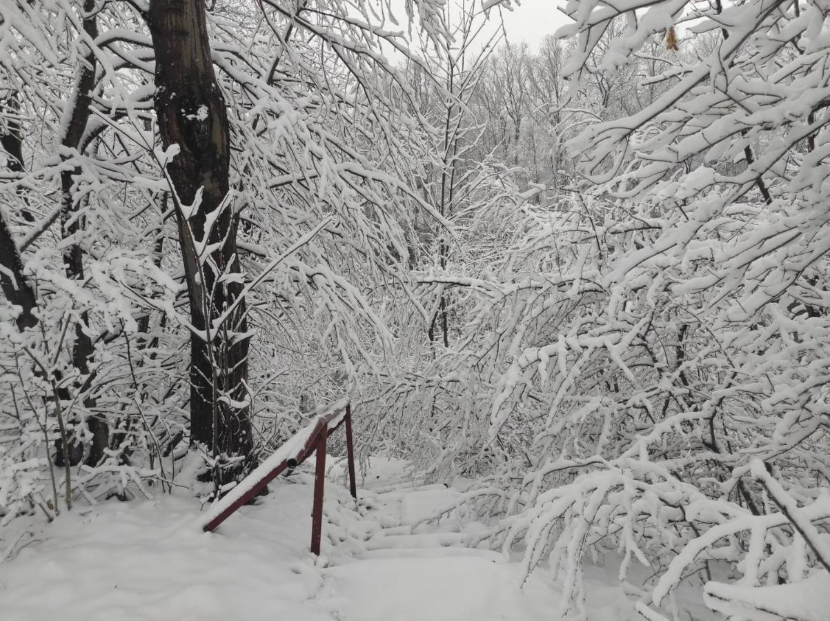 Villa Domki Caloroczne Bieszczady Panasiewiczowka Odrzechowa Exterior foto